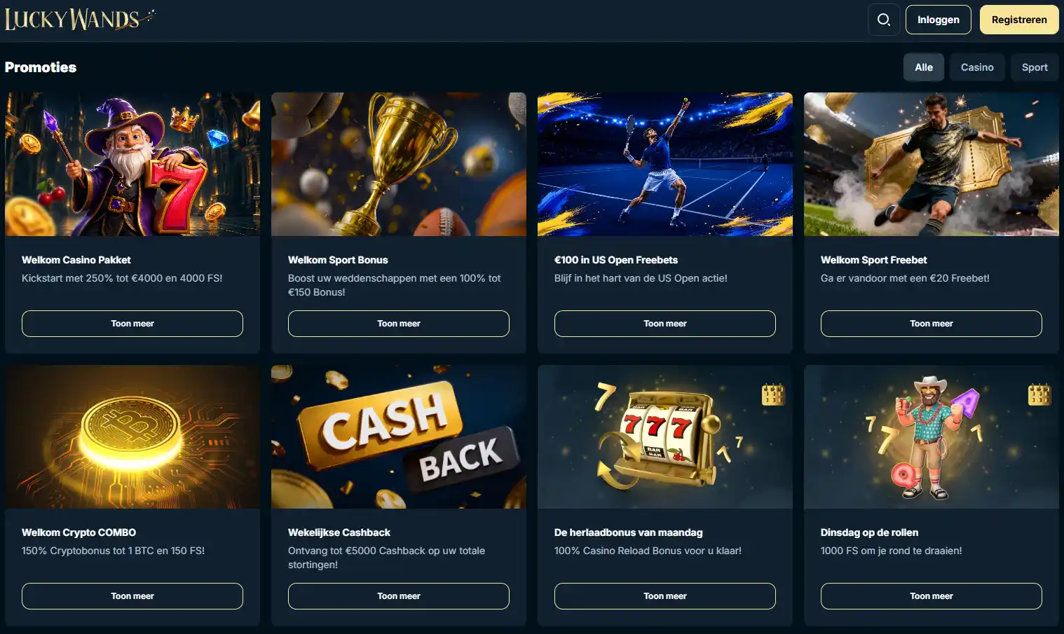 Beeldopname van de officiële LuckyWands promotiepagina met actuele bonuskaarten